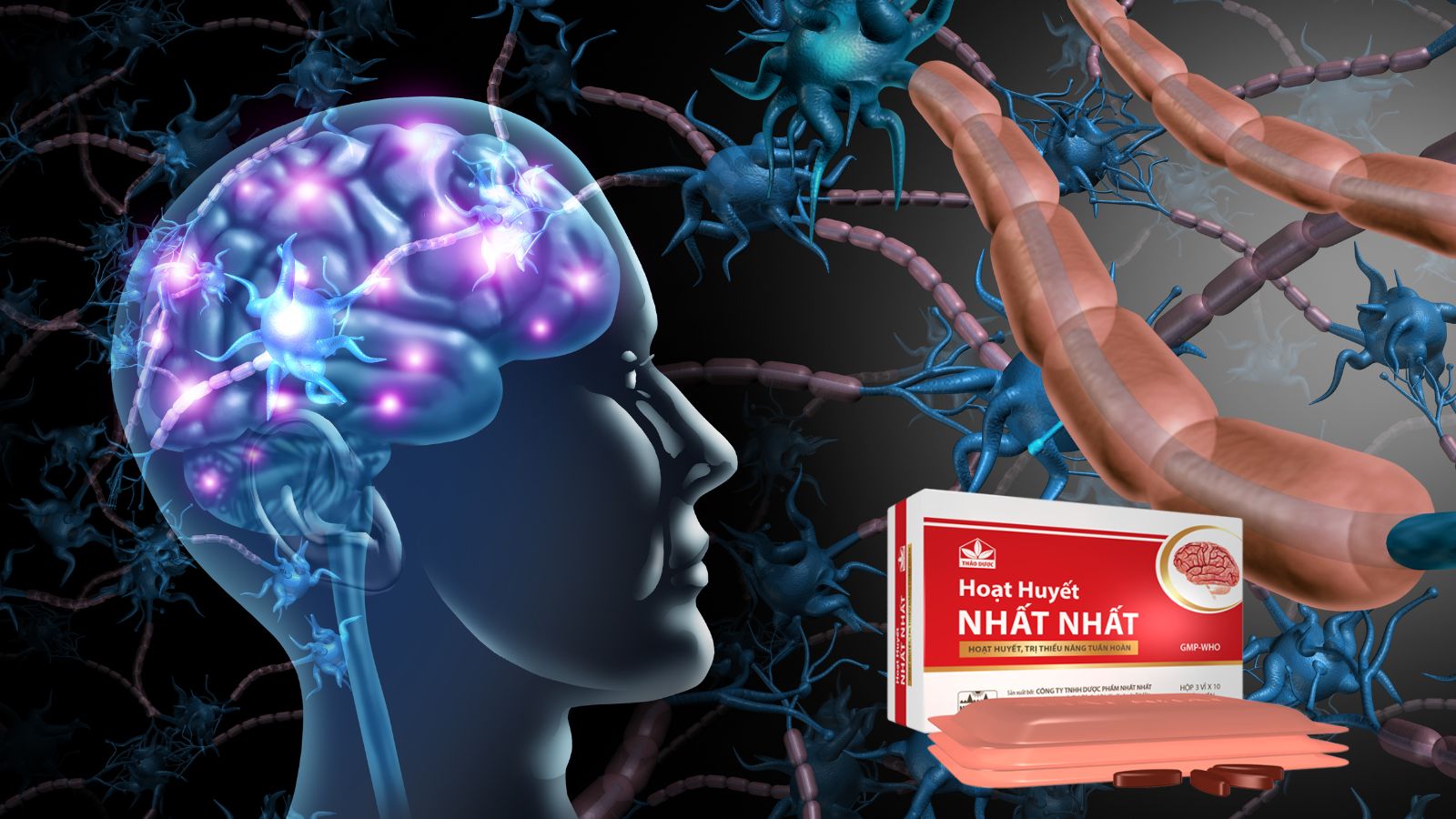 Hoạt Huyết Nhất Nhất - Bổ huyết, tăng cường tuần hoàn não