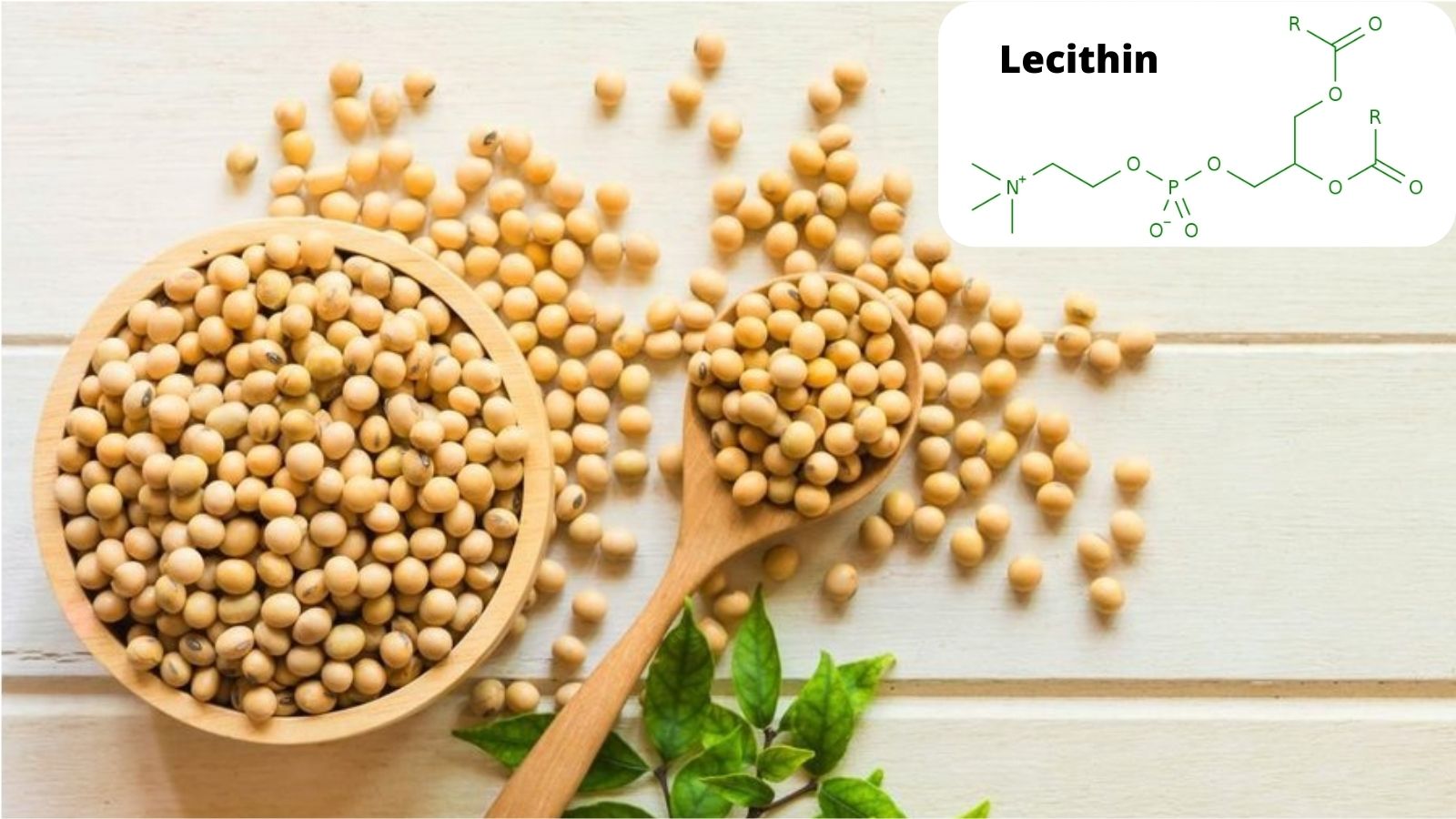 Mầm đậu nành Úc có thành phần chính là Lecithin