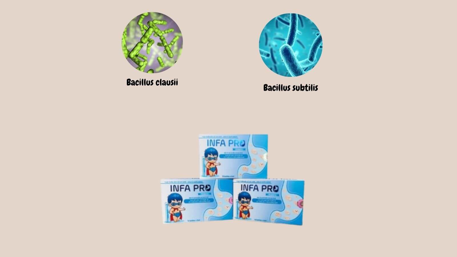    Infa Pro cung cấp lợi khuẩn đường ruột 