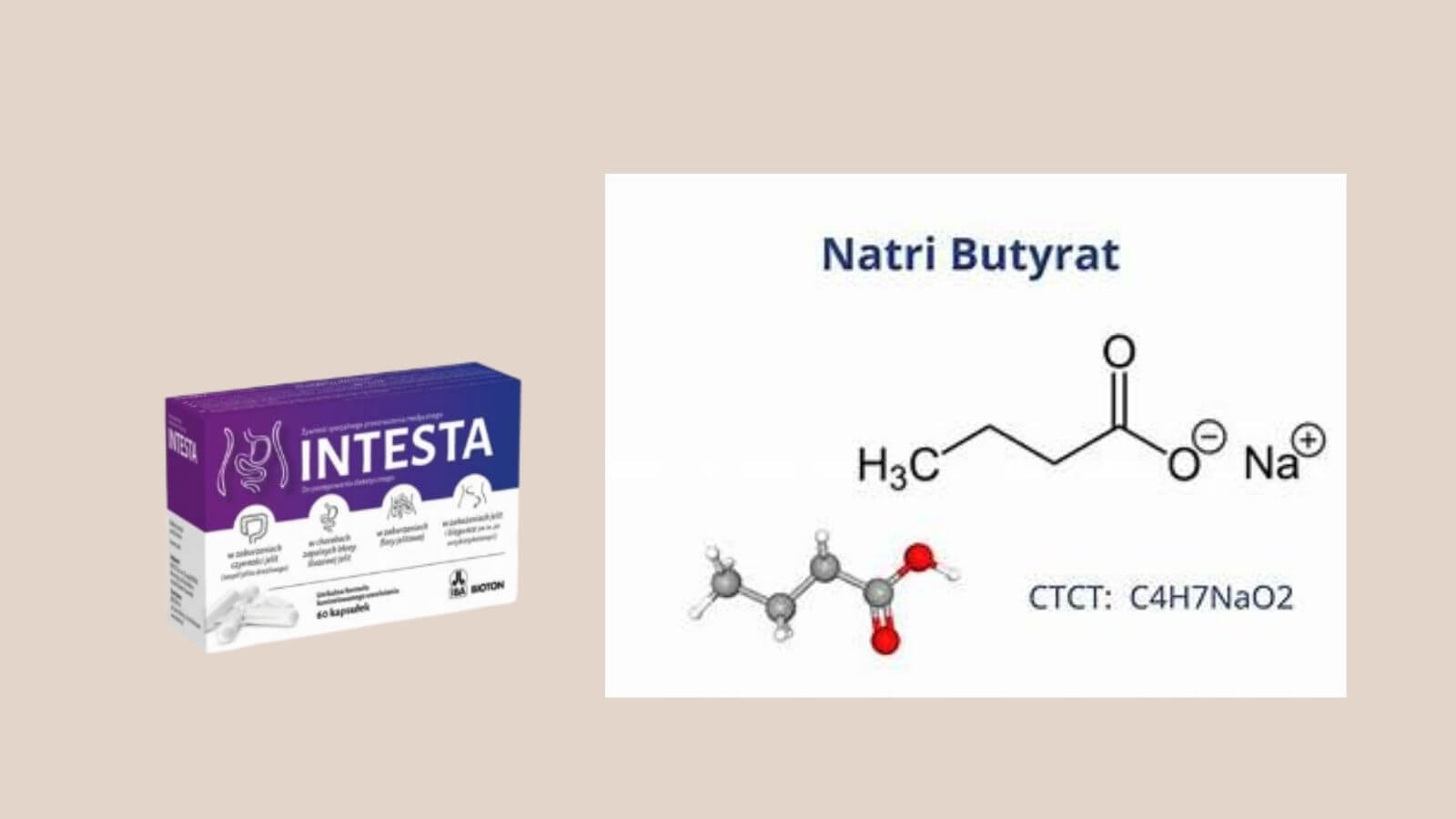 Intesta cung cấp Natri Butyrate