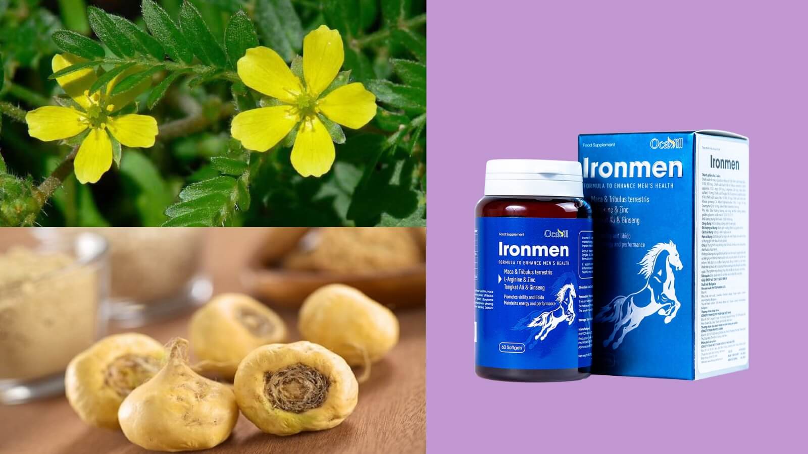 Ironmen với sự kết hợp từ các thảo dược như Bạch liệt tê, Maca