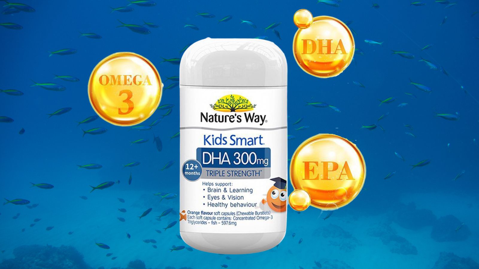 Thành phần chính của kẹo mềm Nature's Way DHA 300 mg