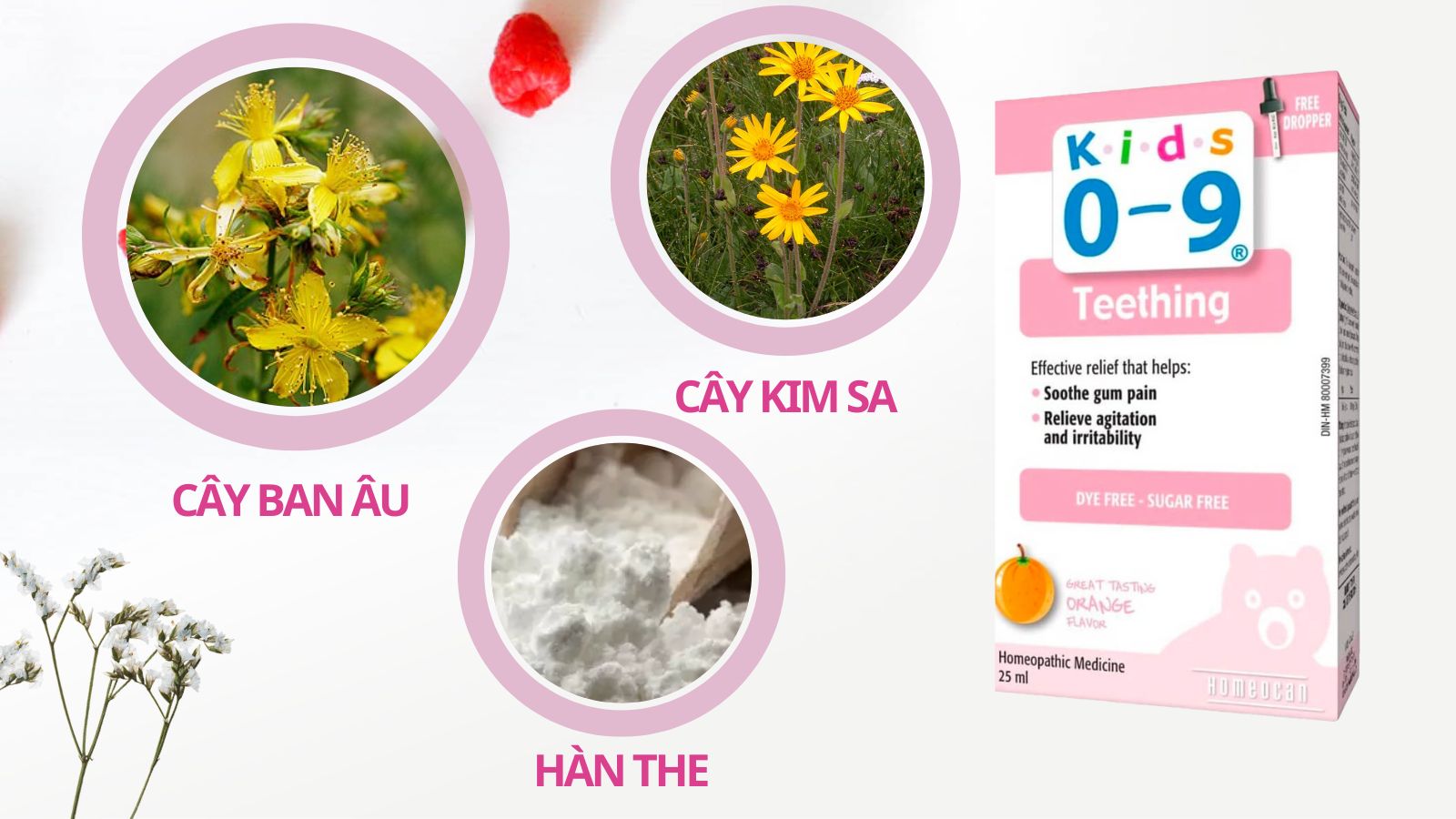 Thành phần chính của Kids 0-9 Teething
