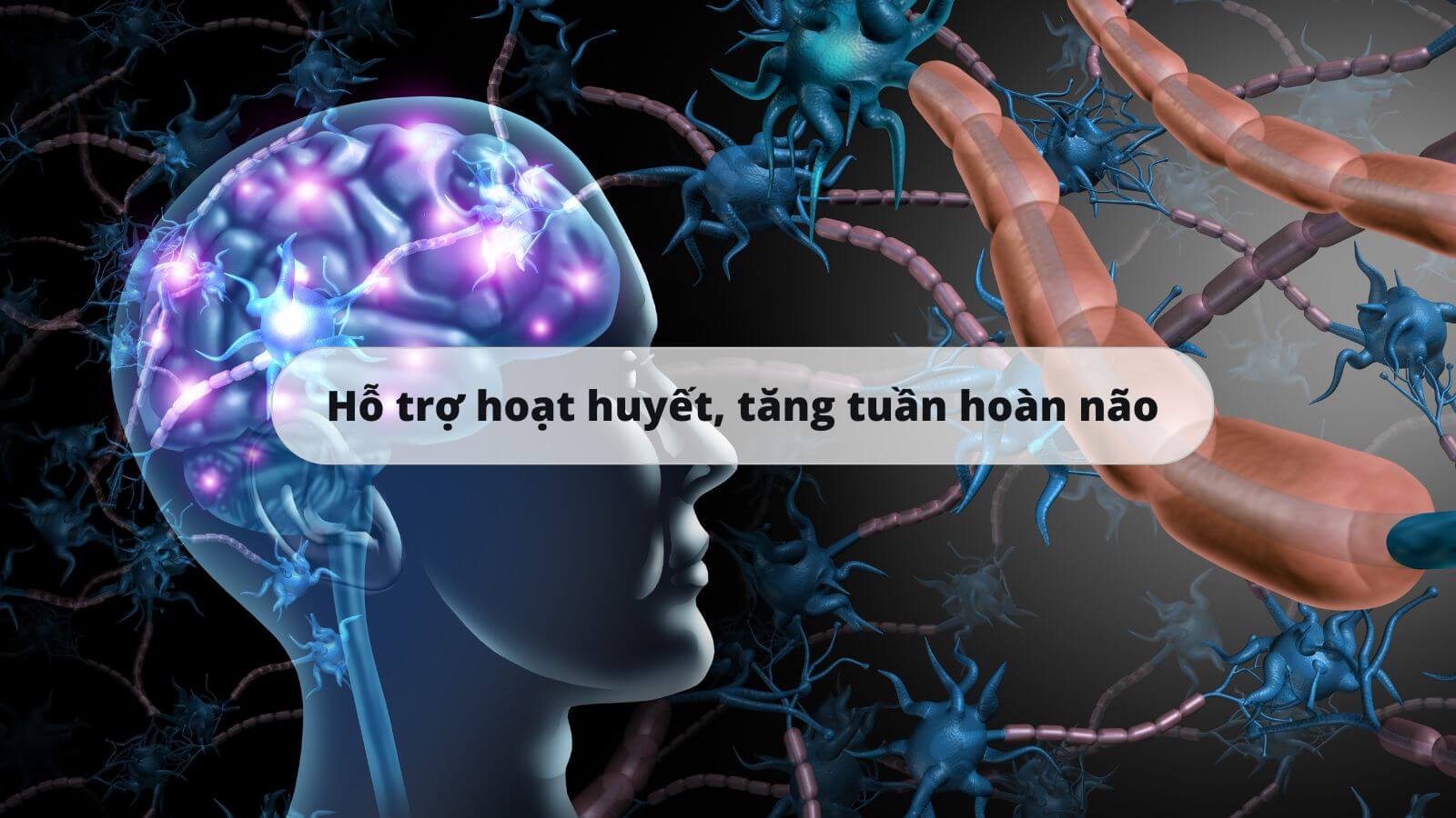 Tác dụng chính của sản phẩm