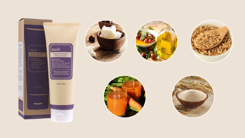 Thành phần chính chứa trong kem dưỡng ẩm Klairs Supple Preparation All-Over Lotion 250ml