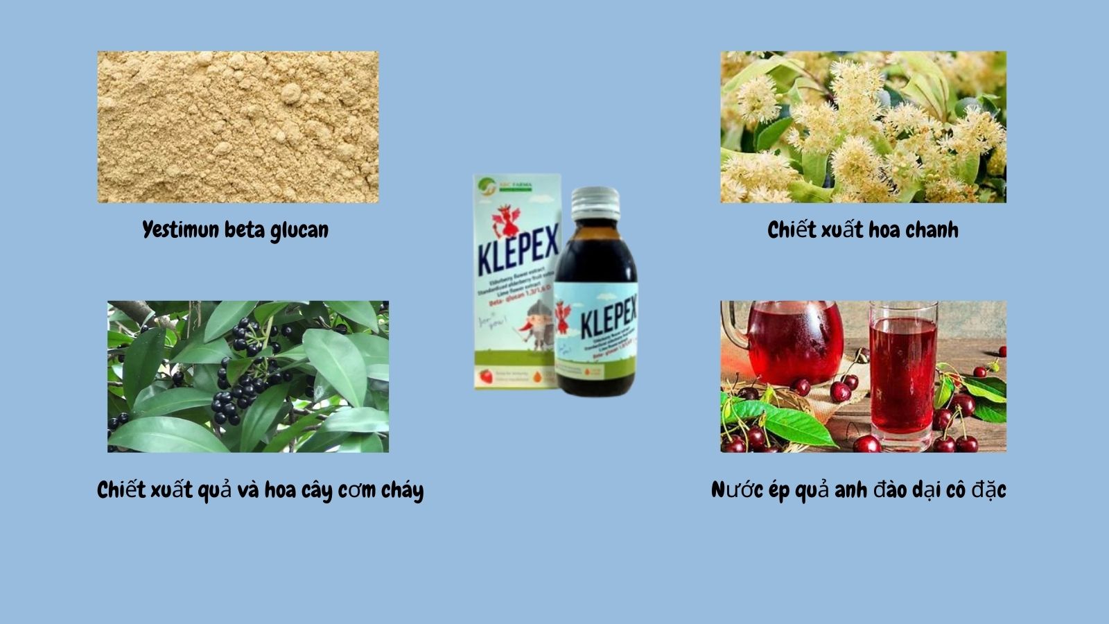 Klepex chứa nhiều dưỡng chất bổ phế