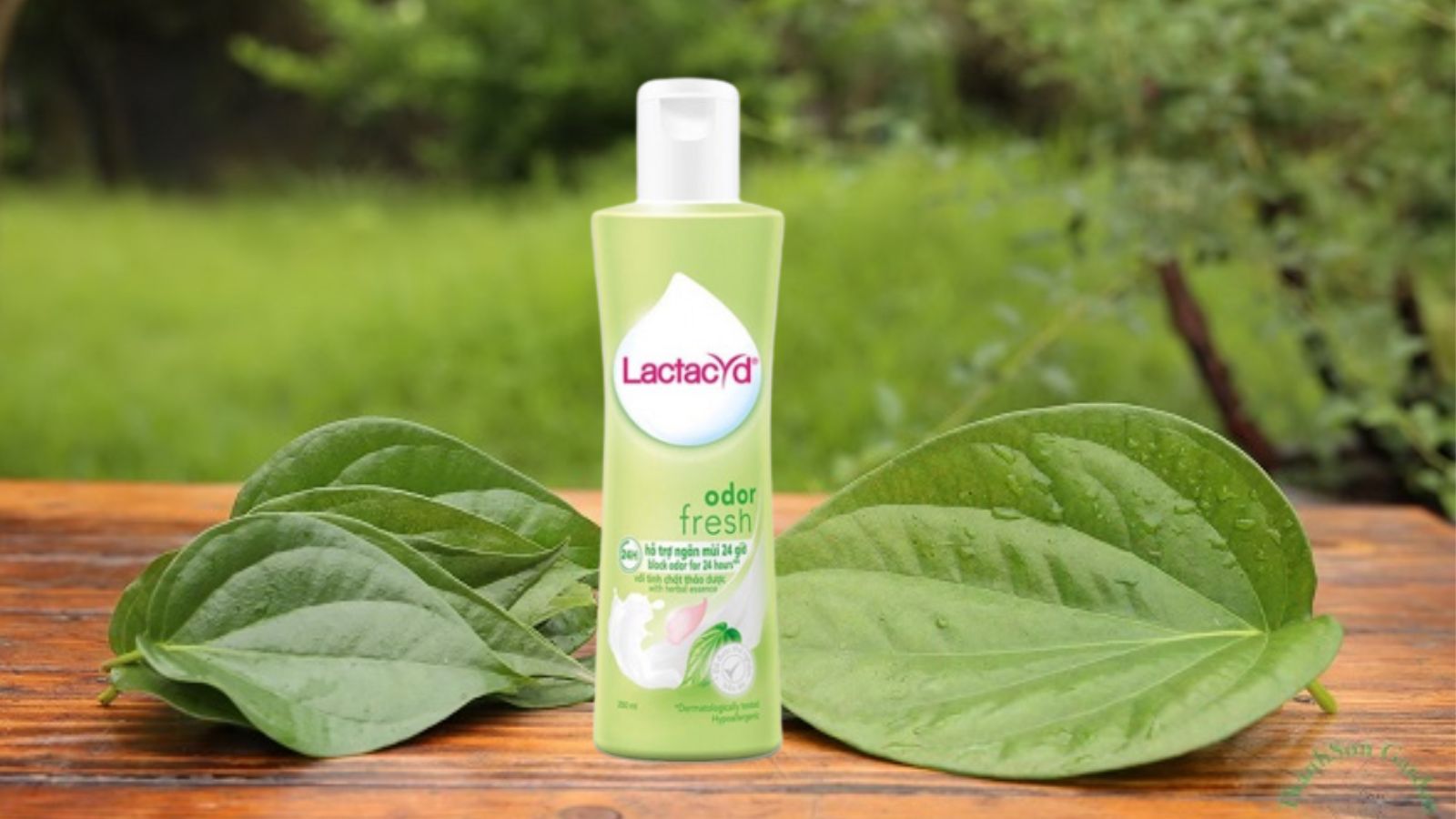 Dung dịch vệ sinh Lactacyd Odor Fresh lá trầu 250ml