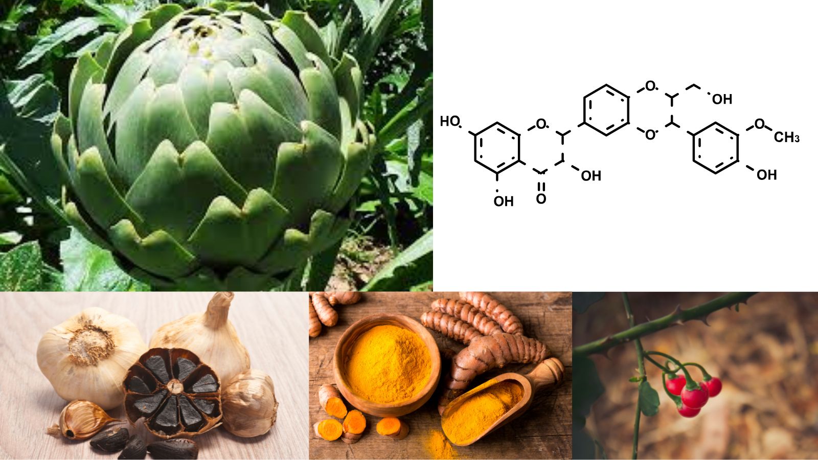 Thành phần chính của Liversoft