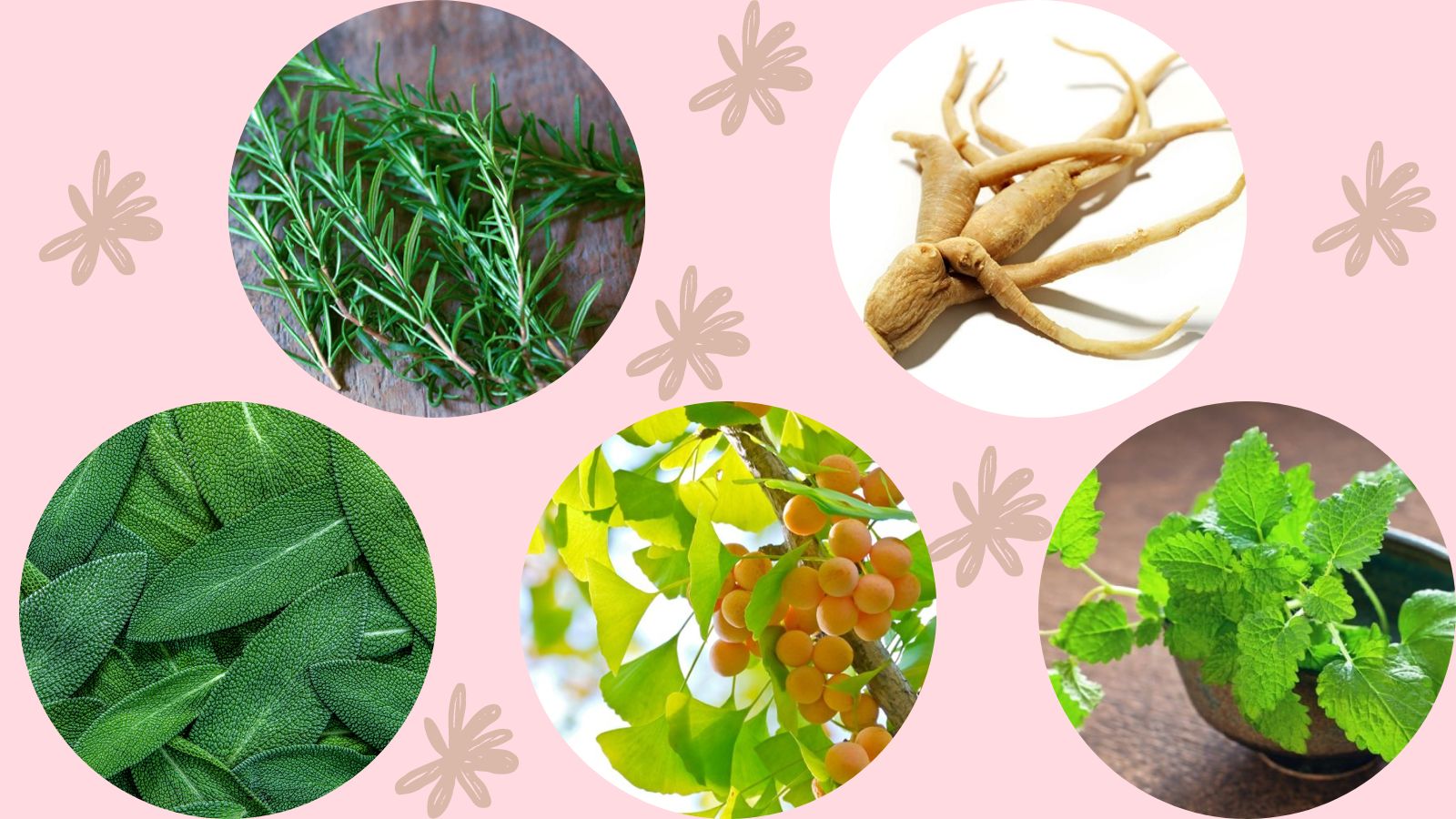 Thành phần của viên uống Lohha