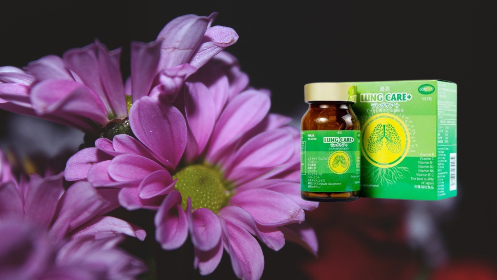 Bột hoa cúc tím trong Lung Care+ không chỉ có tác dụng làm dịu hệ hô hấp mà còn có thể nâng cao sức khỏe tổng thể, giúp cải thiện sức khỏe tim mạch, giảm căng thẳng, và hỗ trợ miễn dịch.