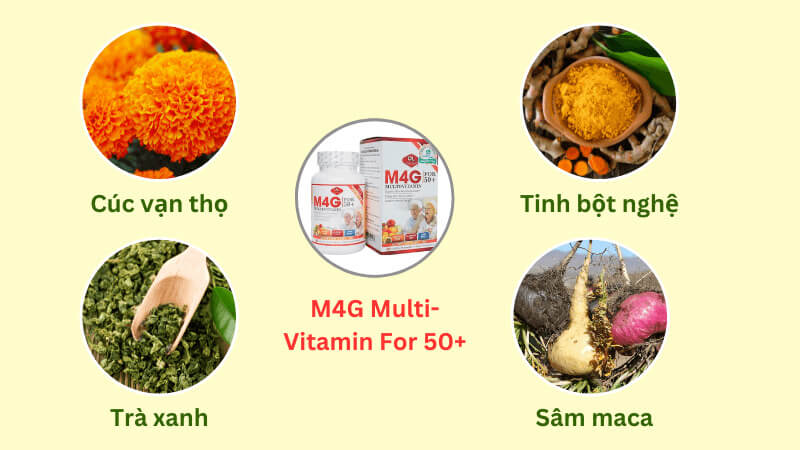 Viên uống M4G với thành phần đều là các thảo dược từ thiên nhiên