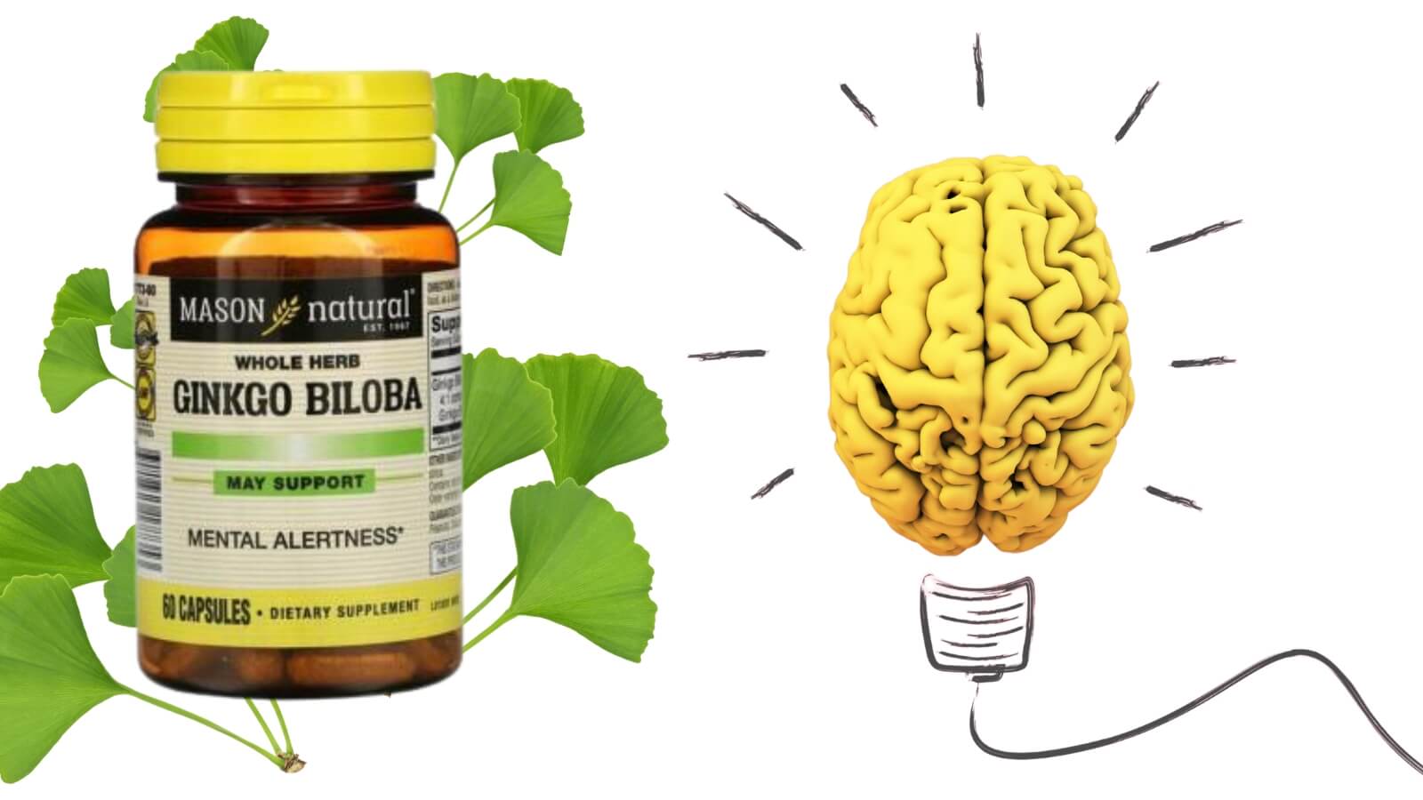 Mason Natural Ginkgo Biloba - Hỗ trợ tăng cường chức năng não bộ