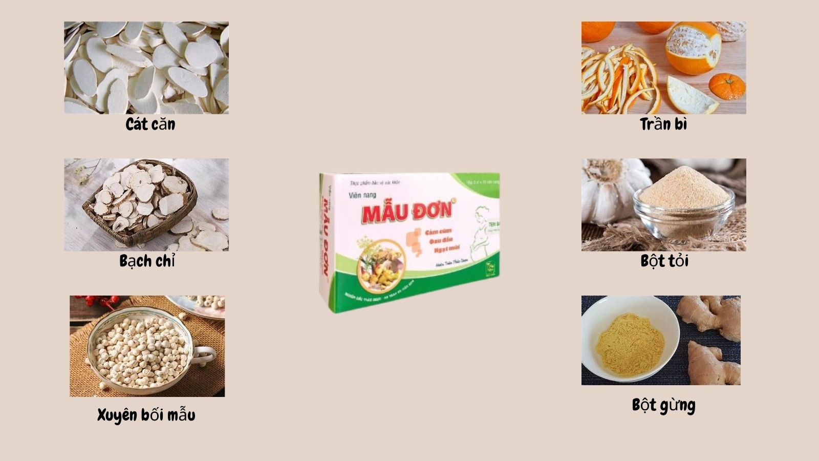 Mẫu Đơn Đại Uy chứa các thảo dược quen thuộc