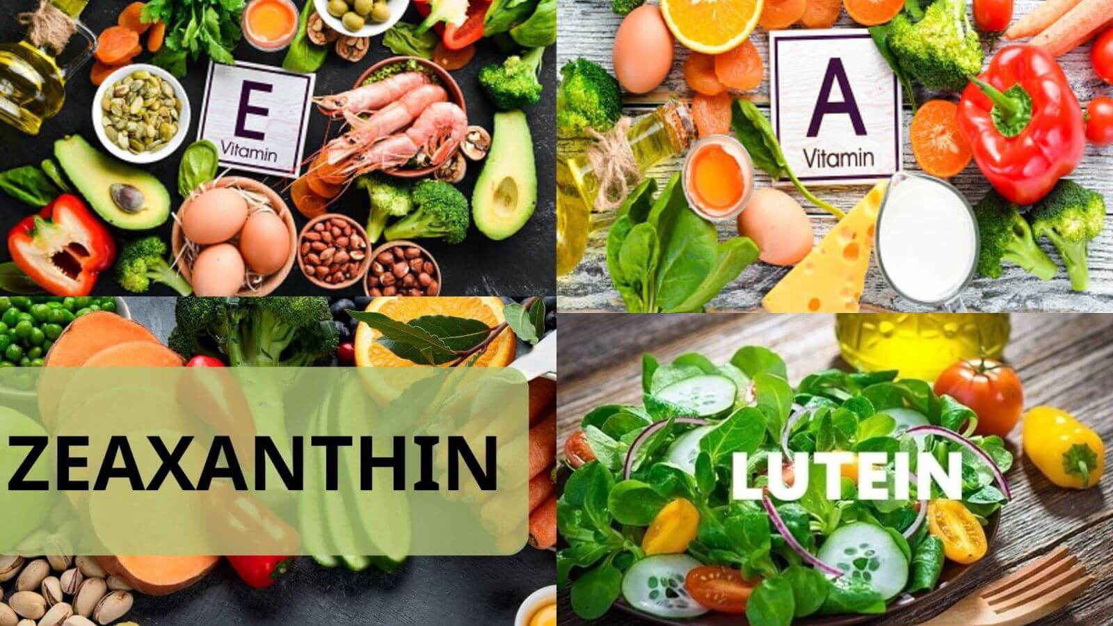 Các thành phần dinh dưỡng từ MaxGo Lutein