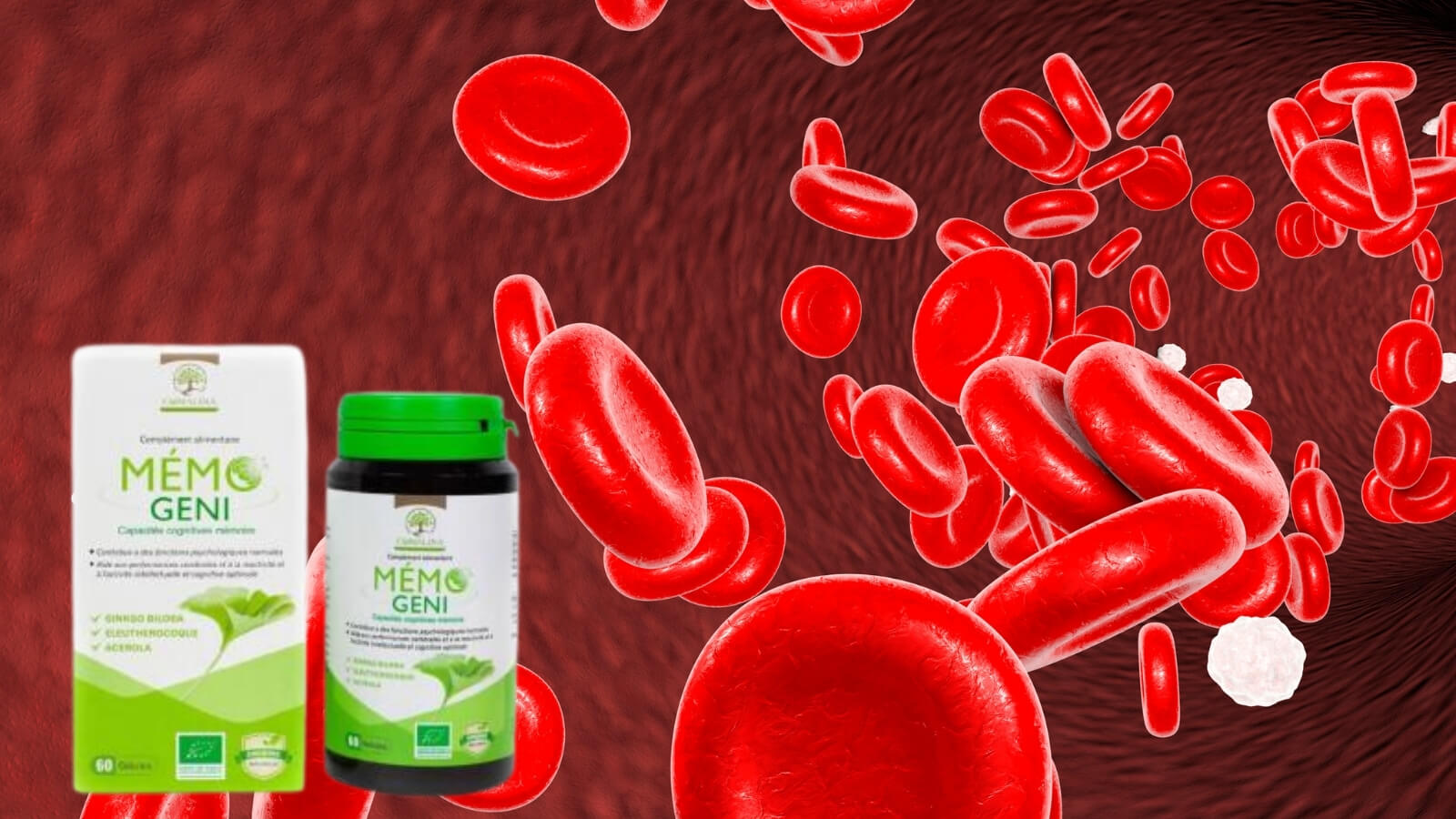 Viên uống Mémo Geni được sản xuất bởi công ty Comalina 