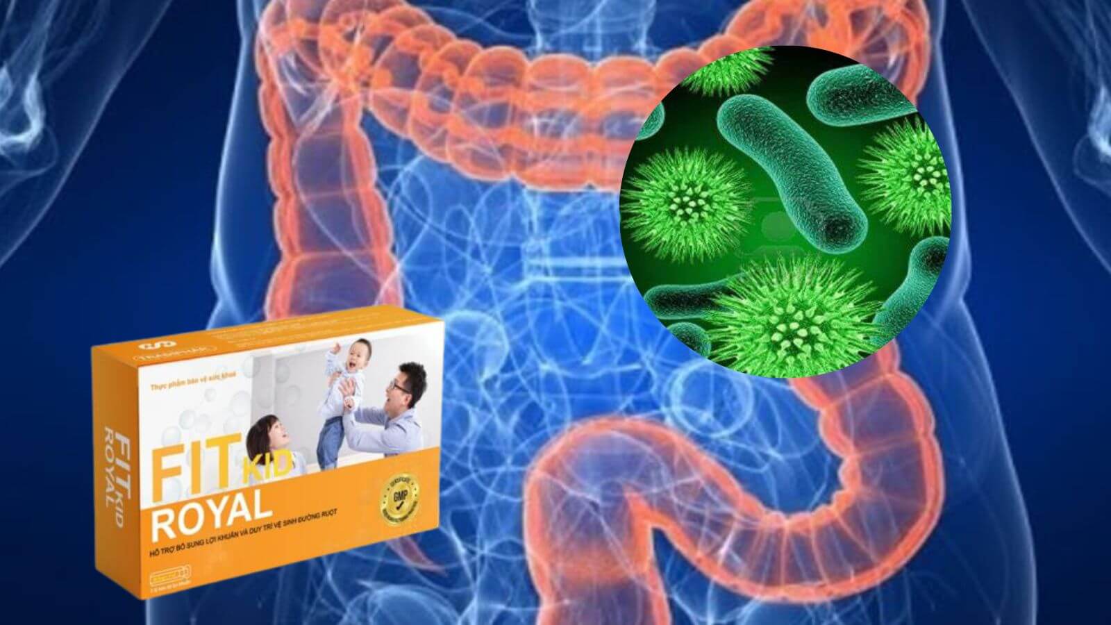 Men tiêu hóa Fit Kit ROYAL - Bổ Sung Lợi Khuẩn