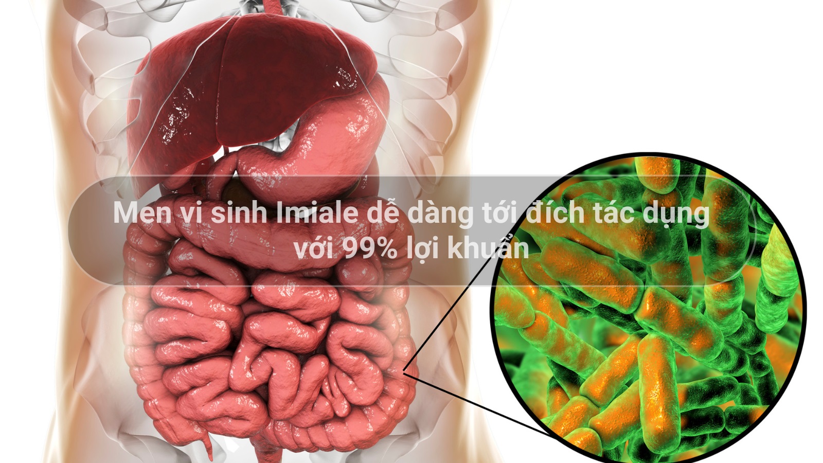 Men vi sinh Imiale dễ dàng tới đích tác dụng với 99% lợi khuẩn
