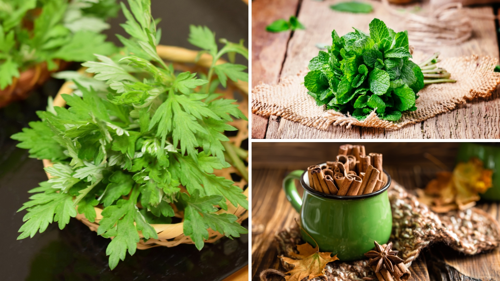 Sự kết hợp giữa các thảo dược thiên nhiên đã tạo nên sản phẩm Miếng dán ngải cứu vừa an toàn vừa giúp cải thiện tình trạng đau nhức hiệu quả