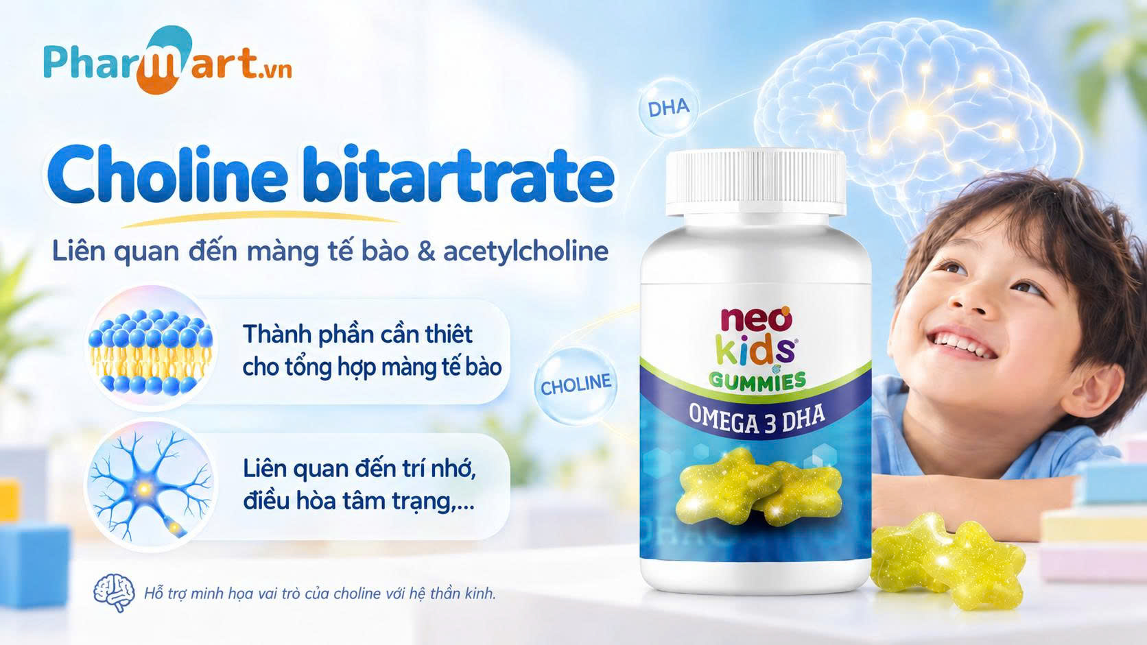 Cholin li&ecirc;n quan đến m&agrave;ng tế b&agrave;o v&agrave; chất dẫn truyền thần kinh