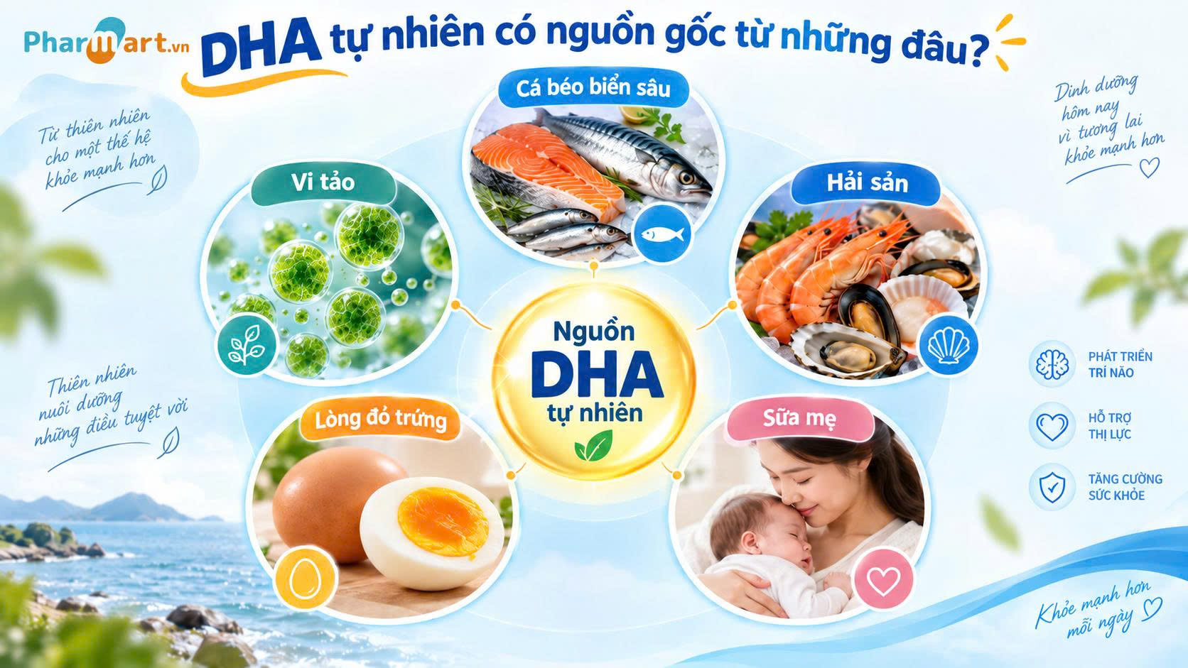 DHA tự nhi&ecirc;n c&oacute; nhiều trong c&aacute;c loại c&aacute; b&eacute;o, vi tảo, hải sản, sữa mẹ