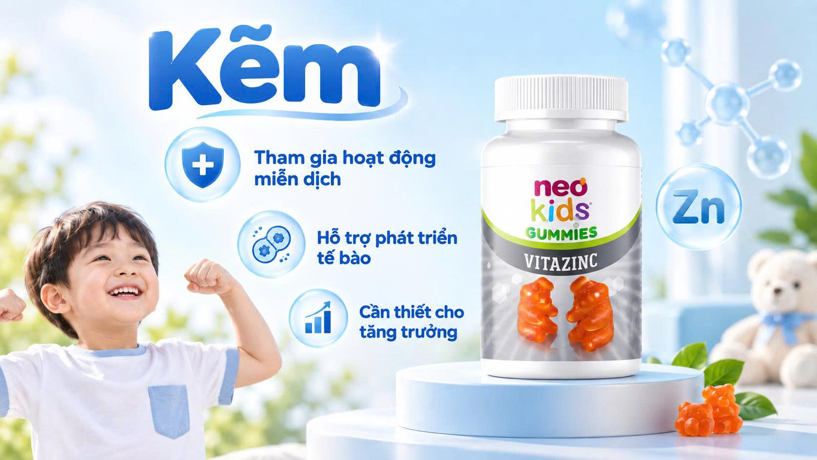 Kẽm tham gia vào hoạt động miễn dịch, hỗ trợ phát triển tế bào