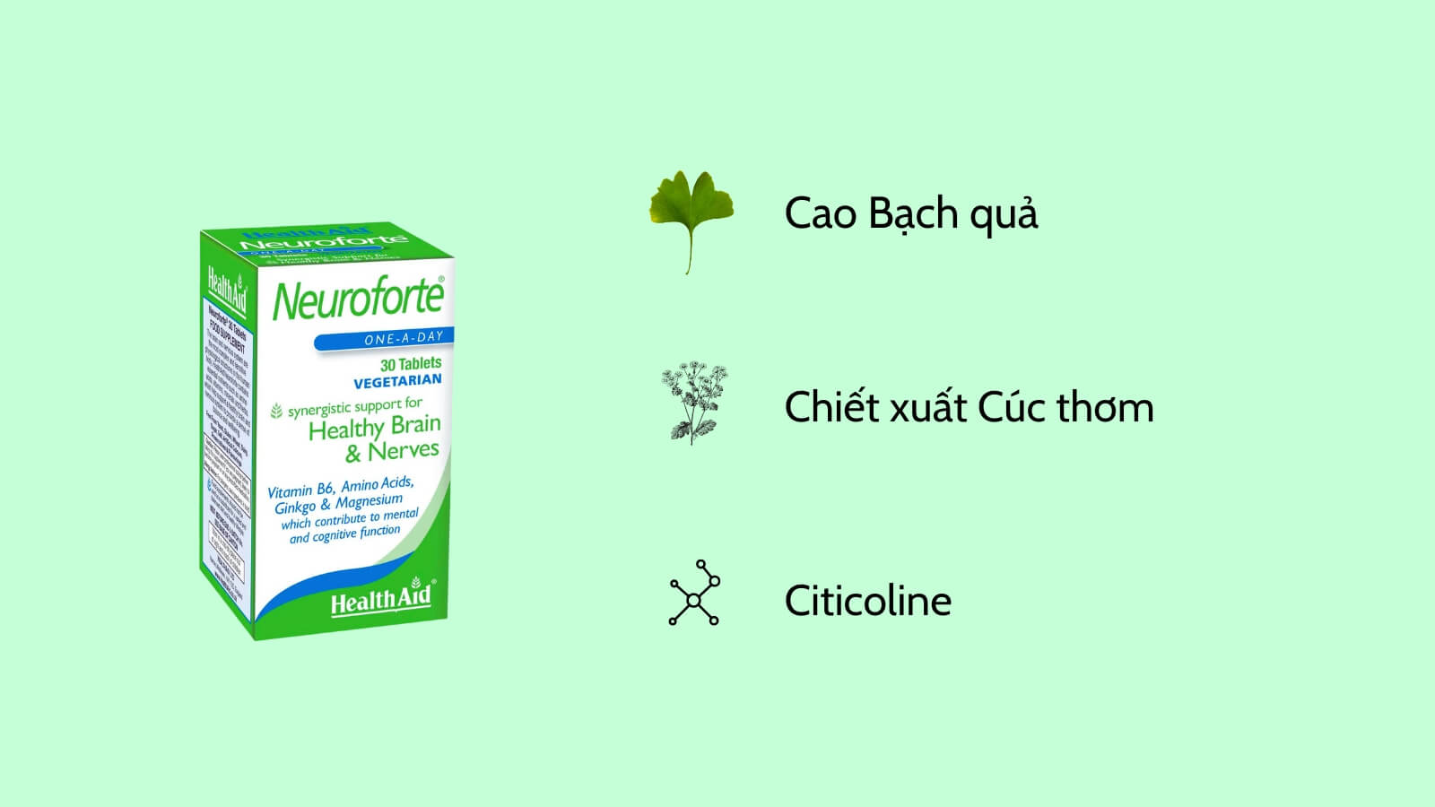 Thành phần chính là chiết xuất Bạch quả