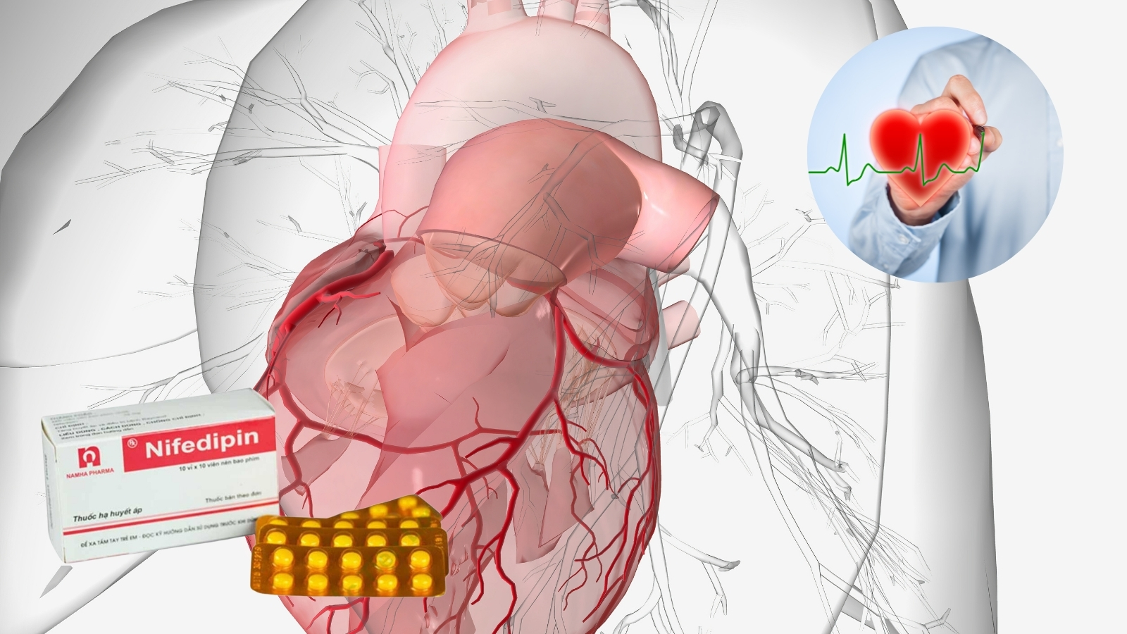 Nifedipine được sử dụng để điều trị cao huyết áp và đau thắt ngực.
