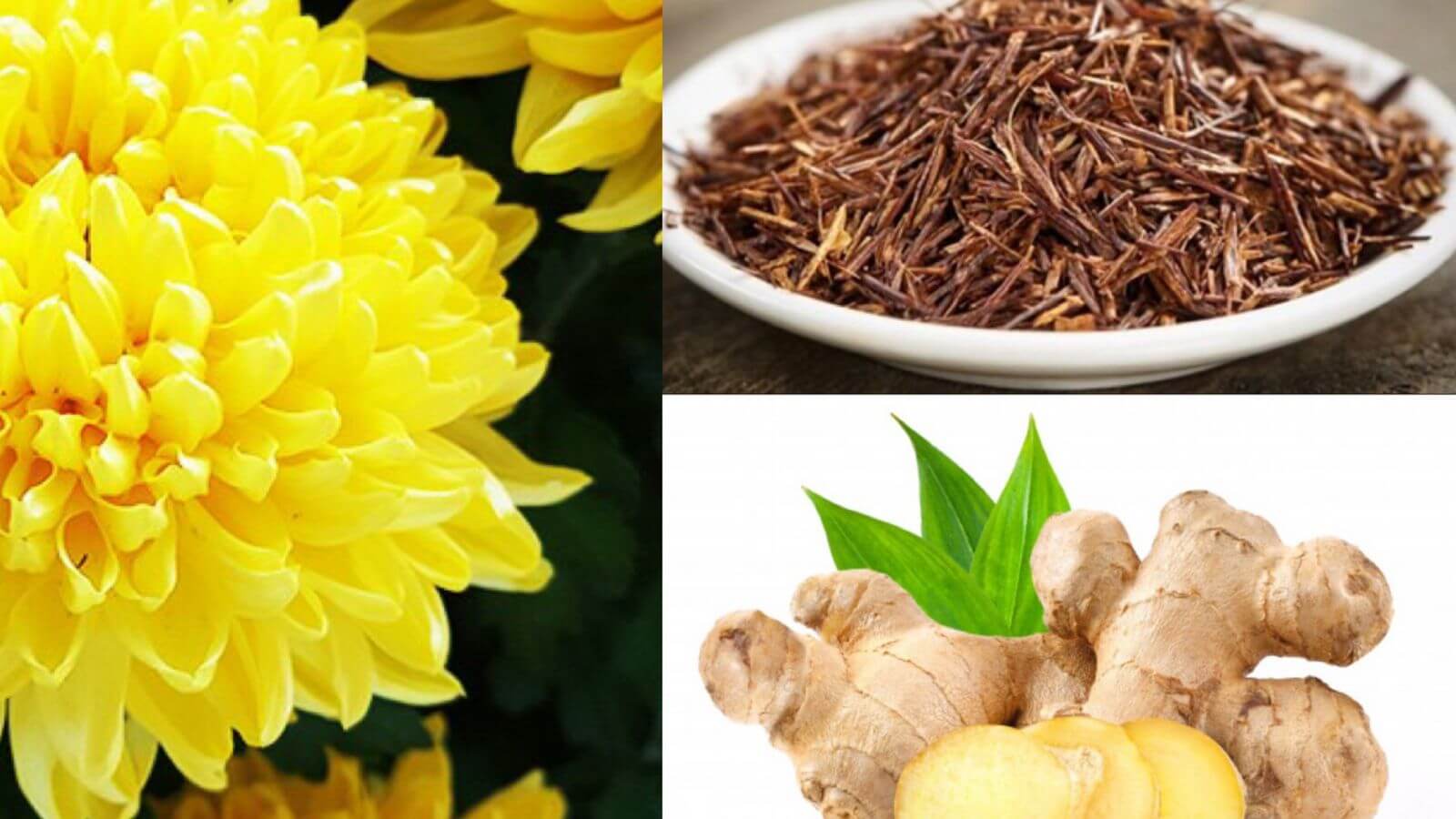 Thành phần viên uống Night Diet Tea Orihiro