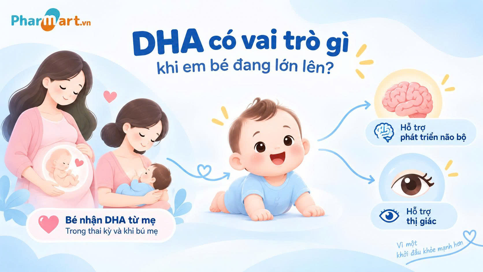 B&eacute; nhận DHA từ mẹ v&agrave; c&oacute; vai tr&ograve; hỗ trợ ph&aacute;t triển n&atilde;o bộ, thị gi&aacute;c