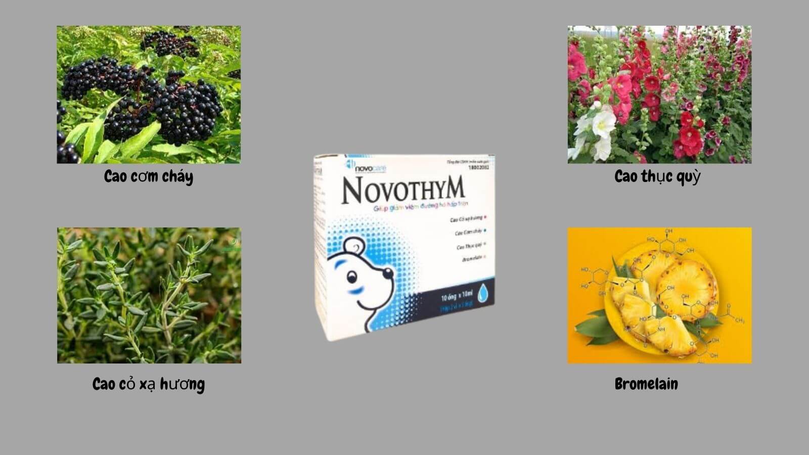    Novothym chứa các thành phần thiên nhiên