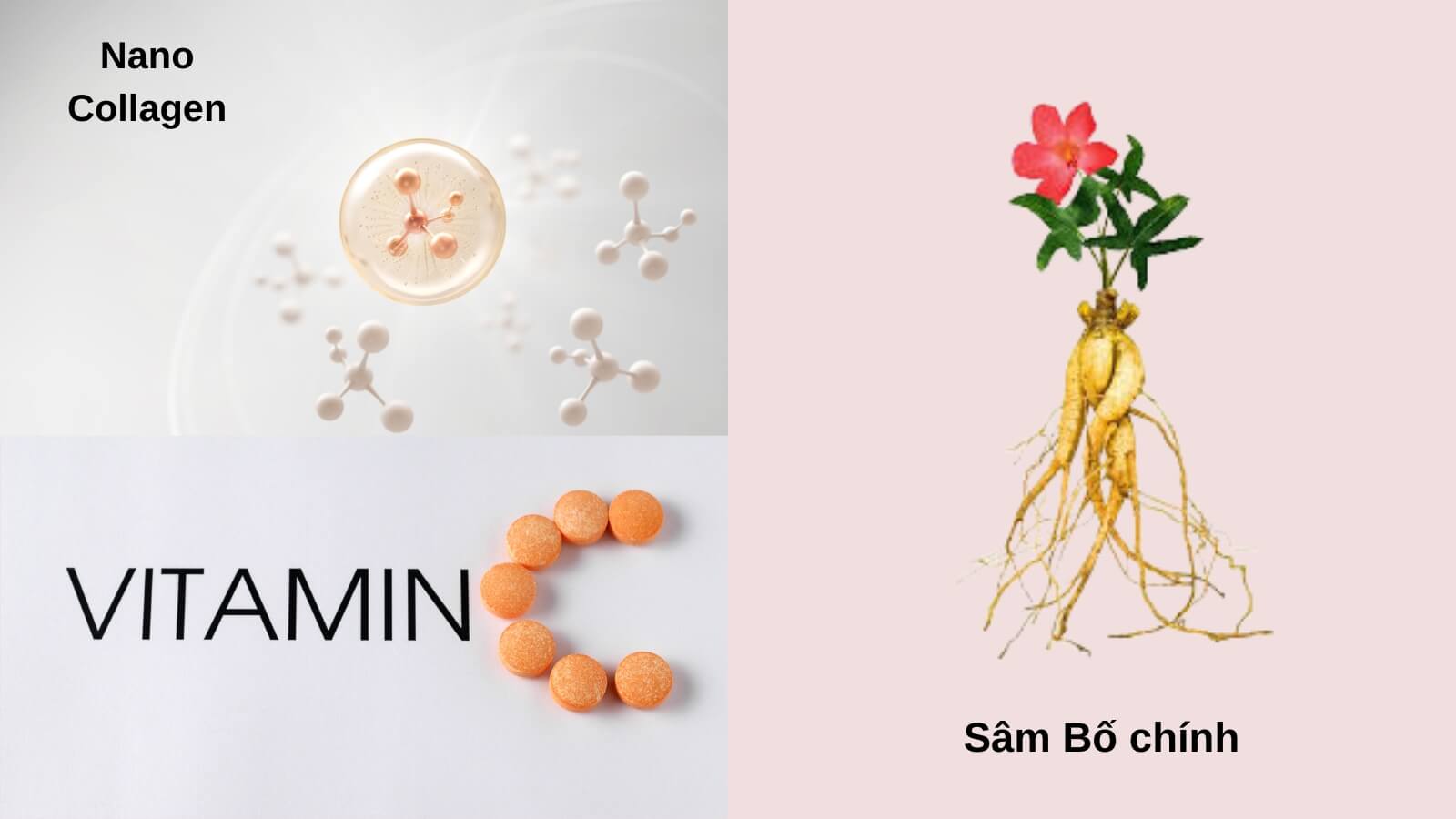 Kết hợp các thành phần có khả năng làm đẹp da