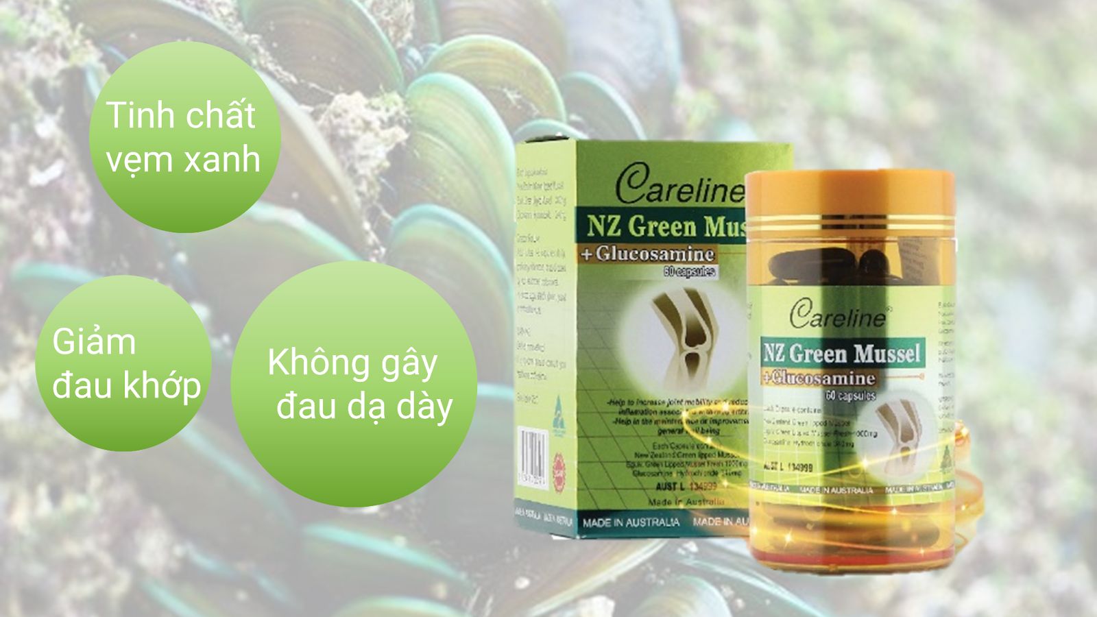 Sản Phẩm NZ Green Mussel + Glucosamine
