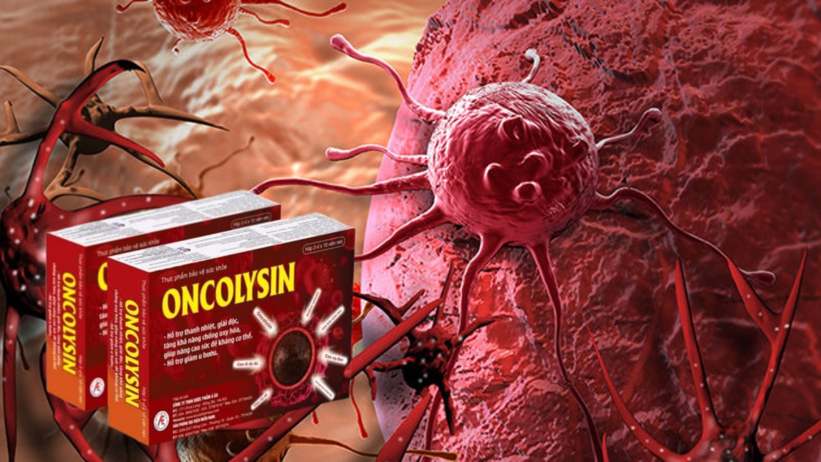 Oncolysin - Hỗ trợ tăng sức đề kháng, giảm u bướu