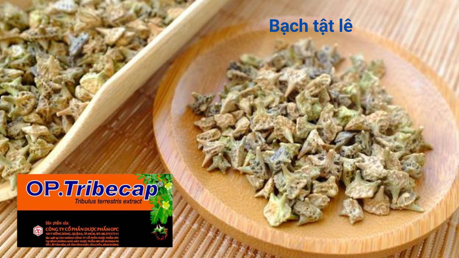 OP Tribecap chứa thành phần cao Bạch tật lê hỗ trợ sức khỏe sinh lý