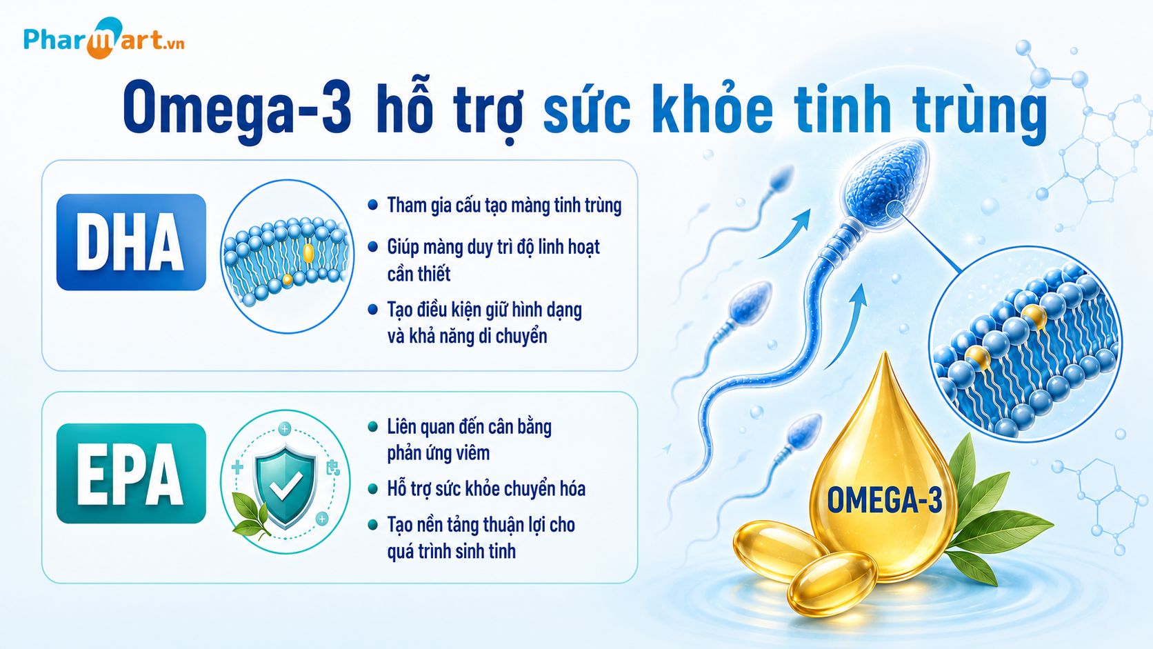 Omega 3 hỗ trợ khả năng di chuyển và cải thiện số lượng tinh trùng