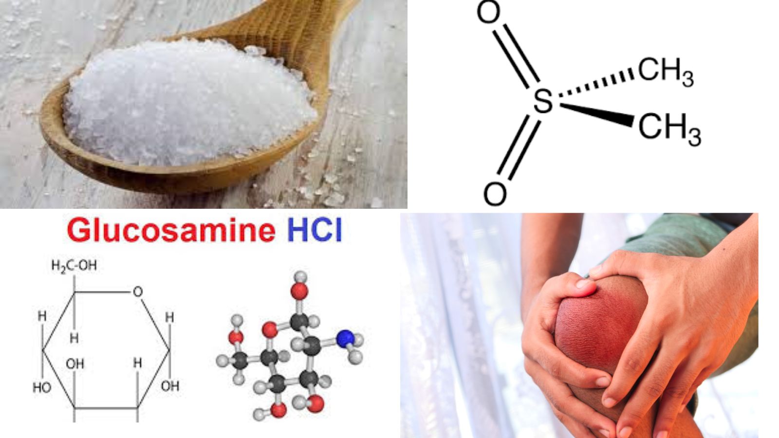 Thành phần chính trong viên uống Otibone 500