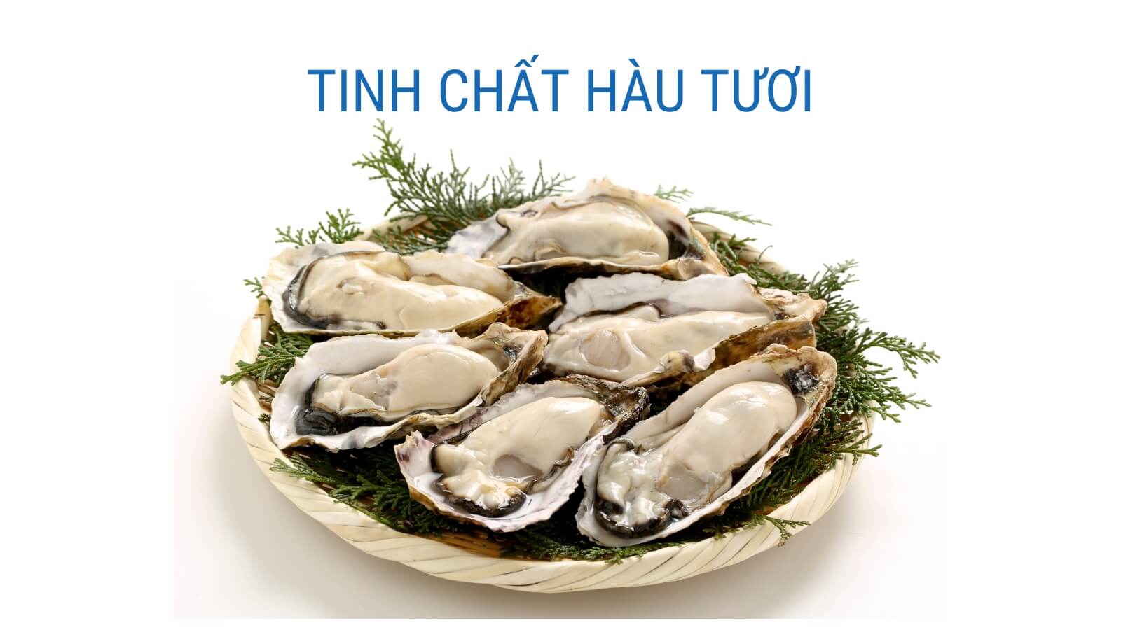 tinh chất hàu tươi tăng cường sinh lý