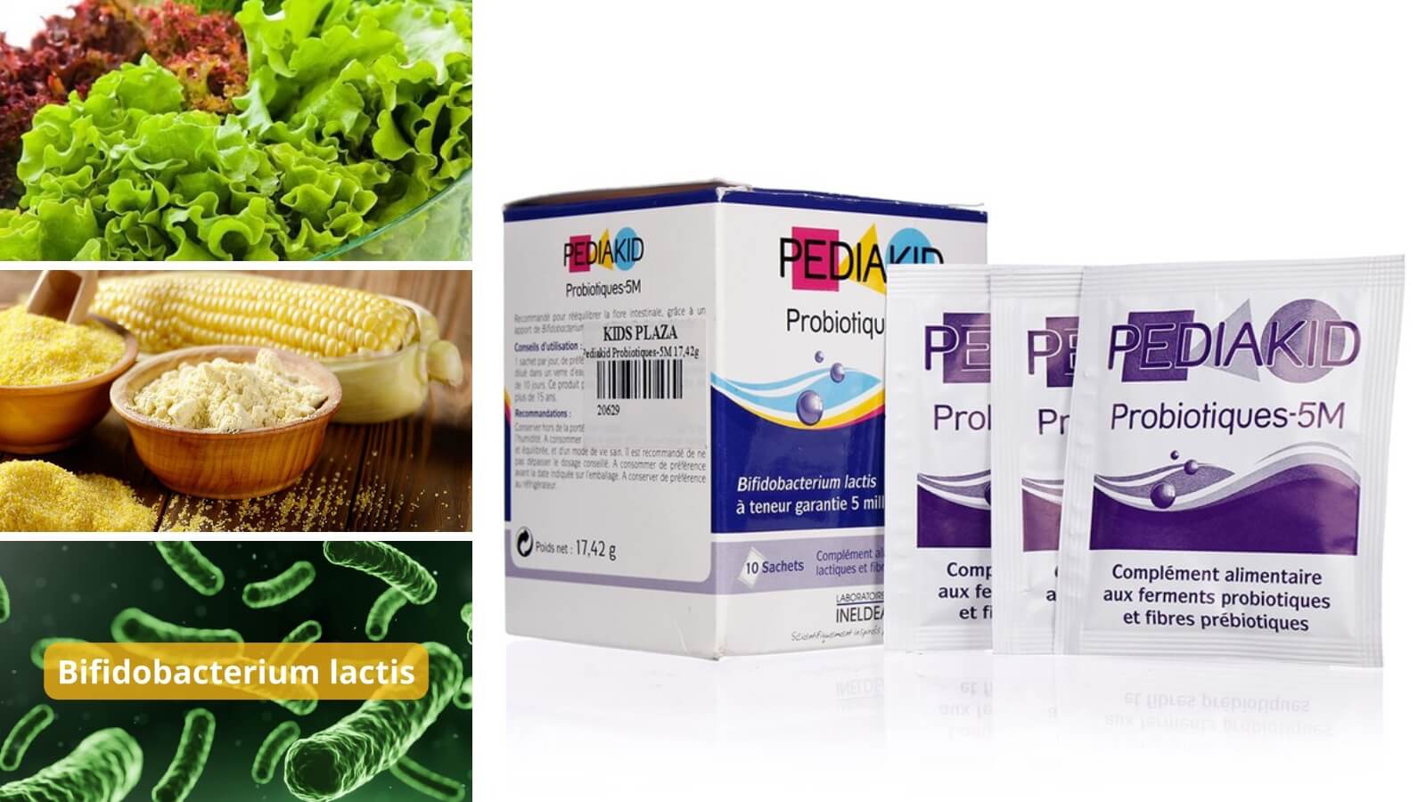 Các thành phần có trong PEDIAKID Probiotiques-10M