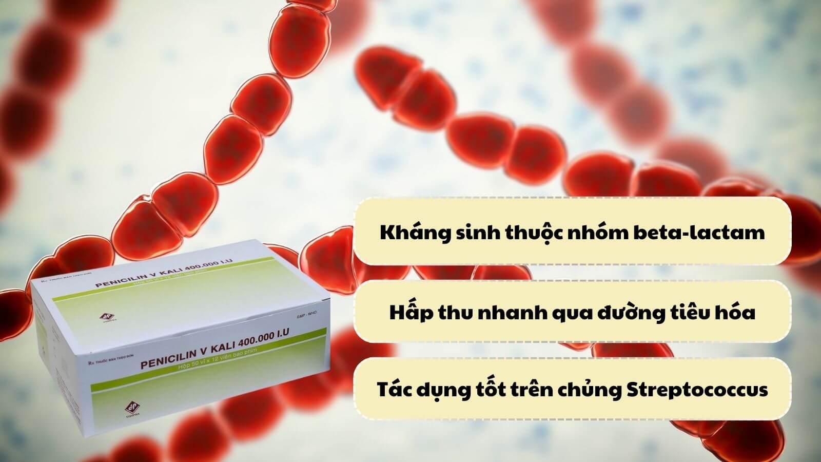 Penicillin 400.000 IU vidipha tác dụng diệt khuẩn tốt trên chủng Streptococcus