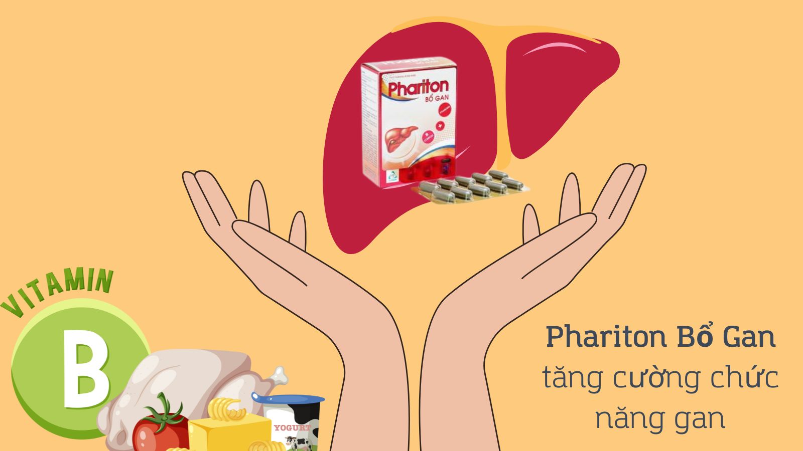 Các vitamin nhóm B rất cần thiết cho cơ thể nói chung và sức khỏe gan nói riêng
