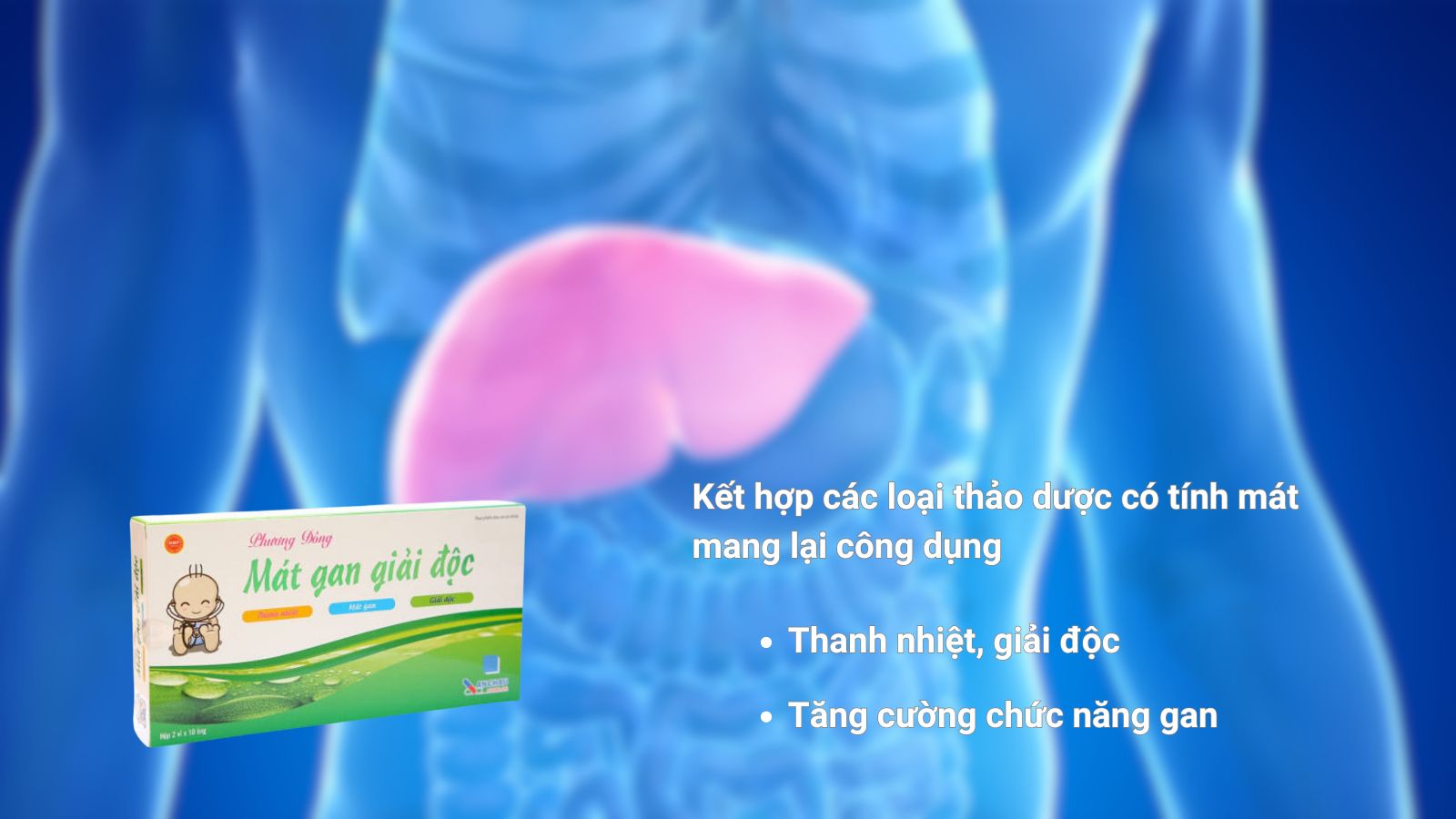 Phương Đông Mát Gan Giải Độc chứa các thành phần thảo dược tốt cho gan