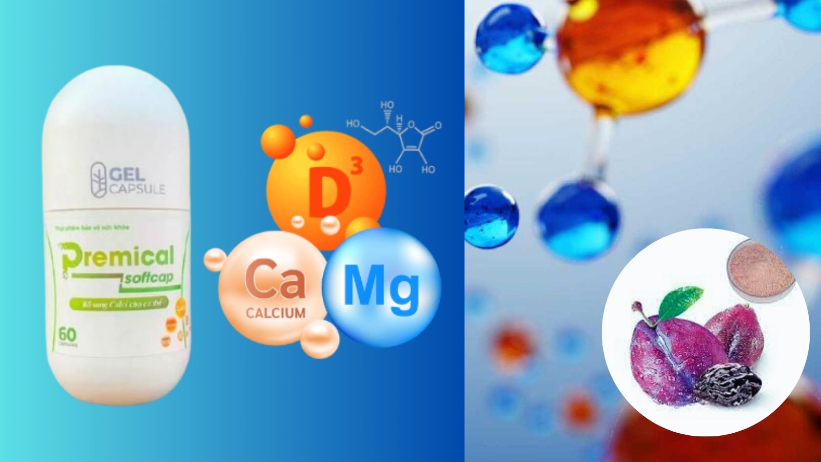 Thành phần chính của Premical Softcap