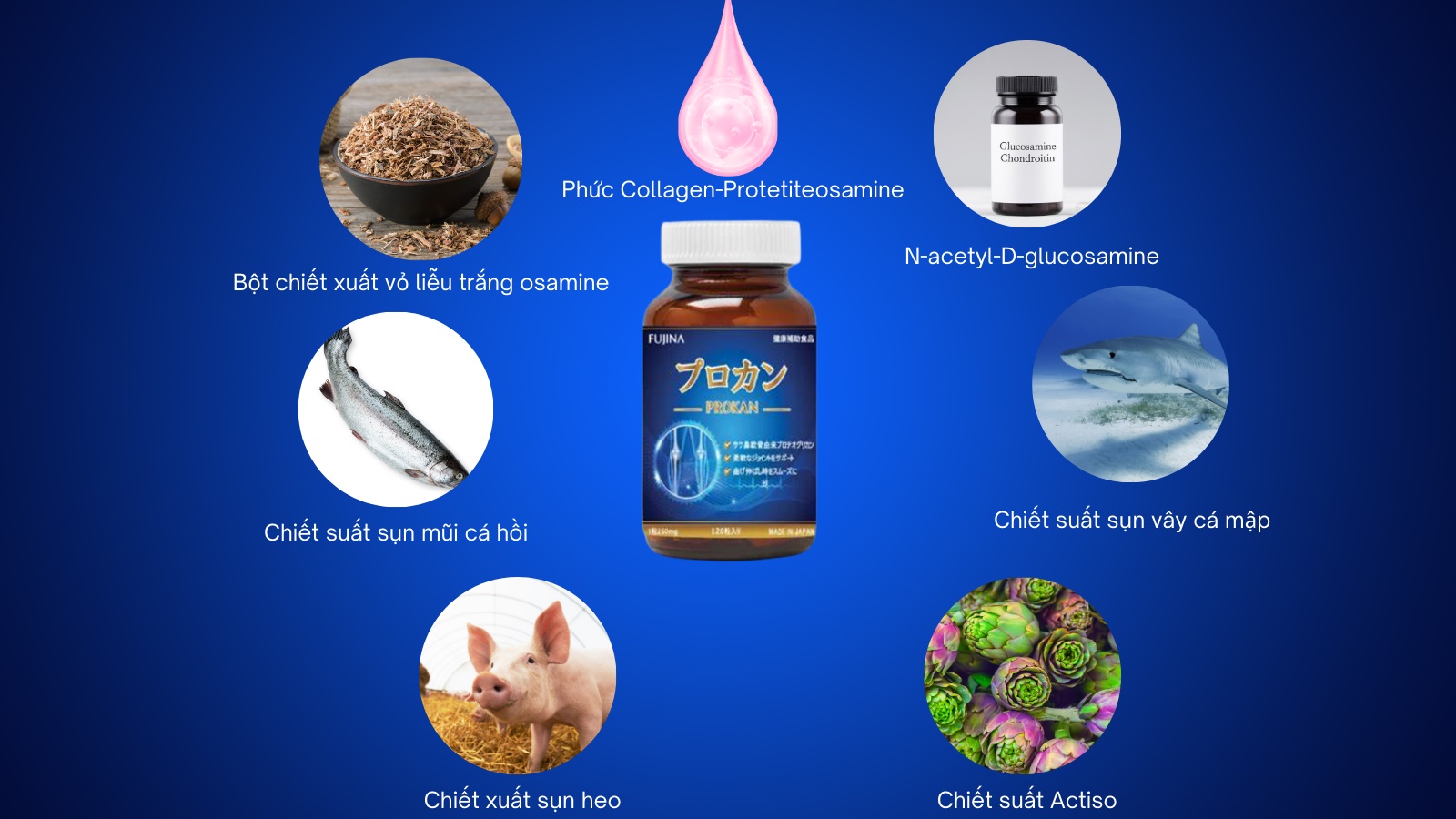 Bảng thành phần giàu có dưỡng chất của Procan Fujina