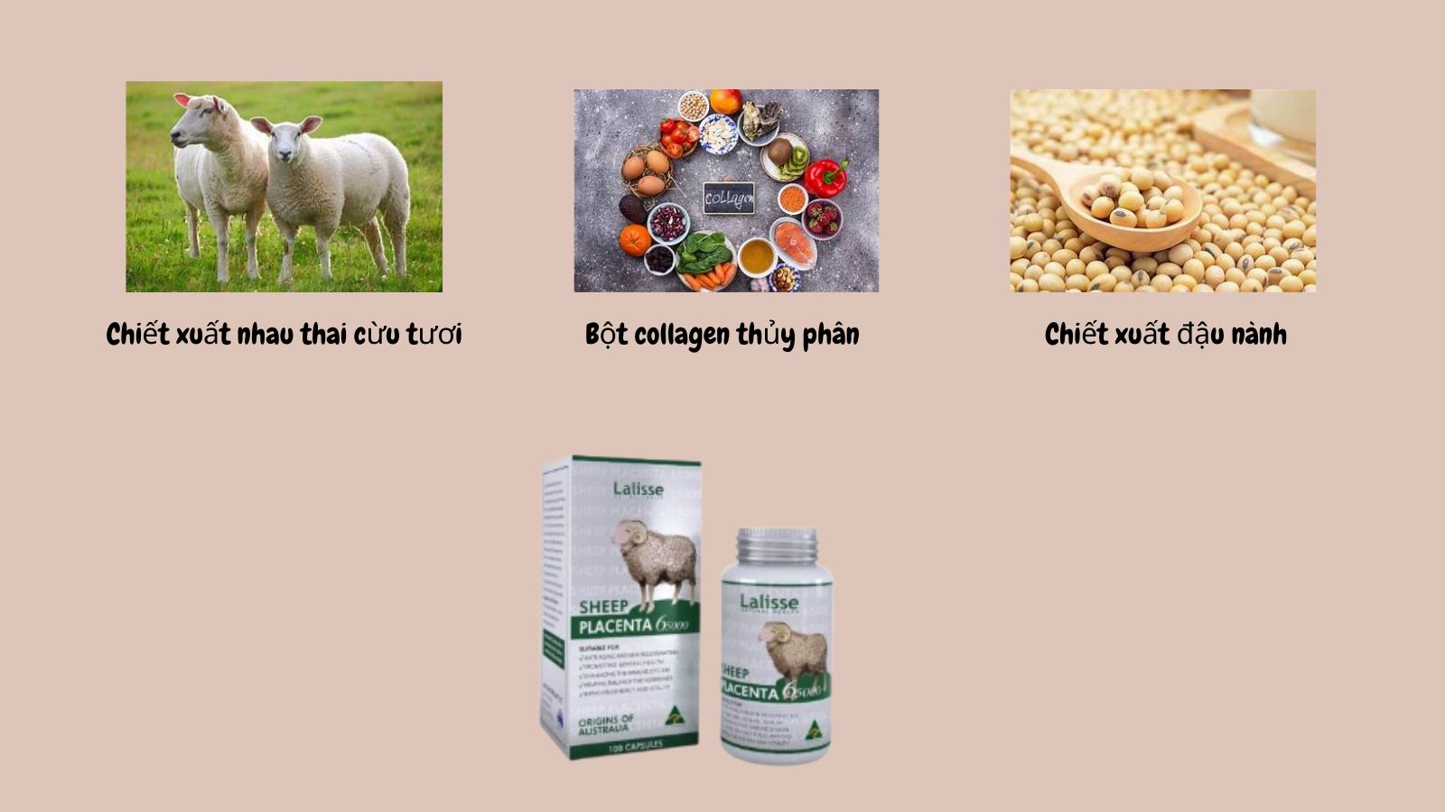    Sheep Placenta Capsule 65000 chứa các dưỡng chất tự nhiên
