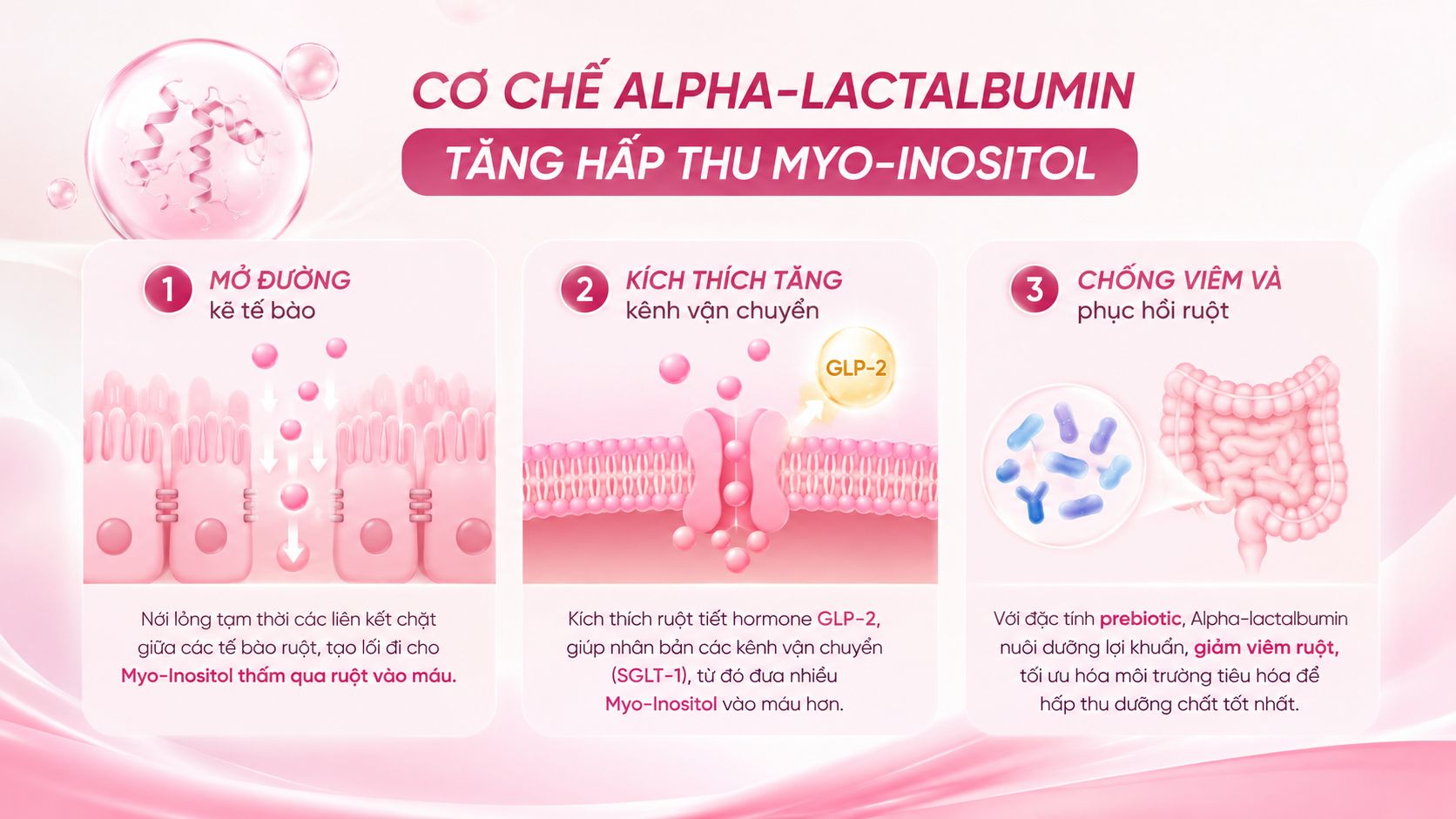 Alpha Lactalbumin gi&uacute;p tăng hấp thu Myo-Inositol