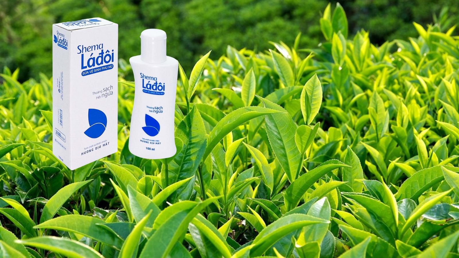 Shema Lá đôi xanh - Dung dịch vệ sinh cho cả nam và nữ