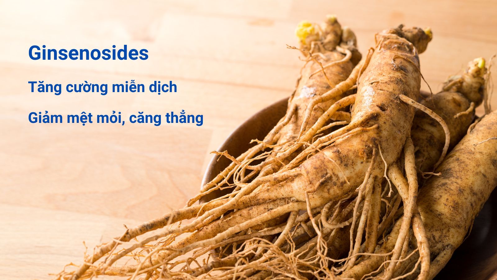 Thành phần chính Ginsenosides trong Hồng sâm giúp tăng cường sức khỏe