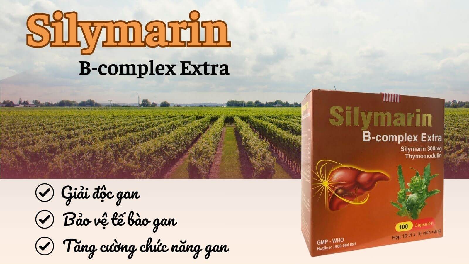 Silymarin Extra Giải độc, tăng cường chức năng gan
