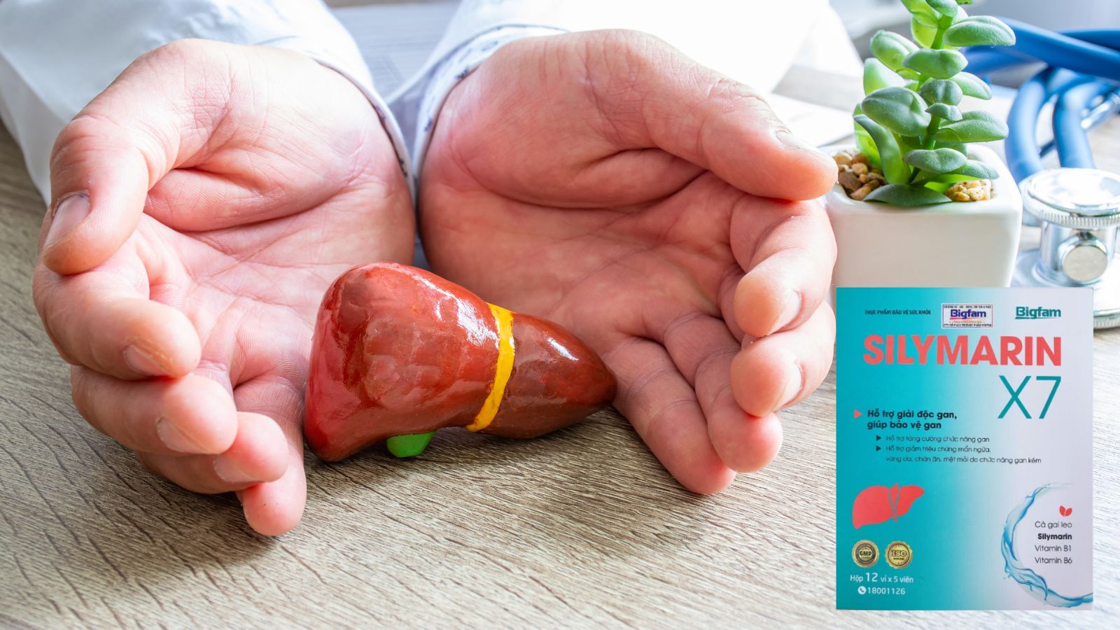 Silymarin X7 ngăn chặn các tổn thương lên gan