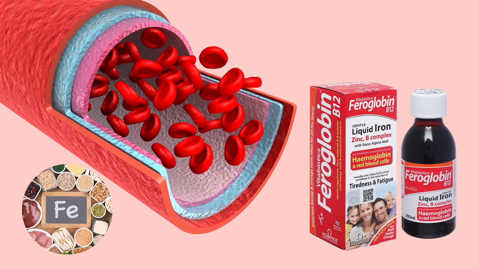 Sắt là thành phần quan trọng hình thành nên hồng cầu